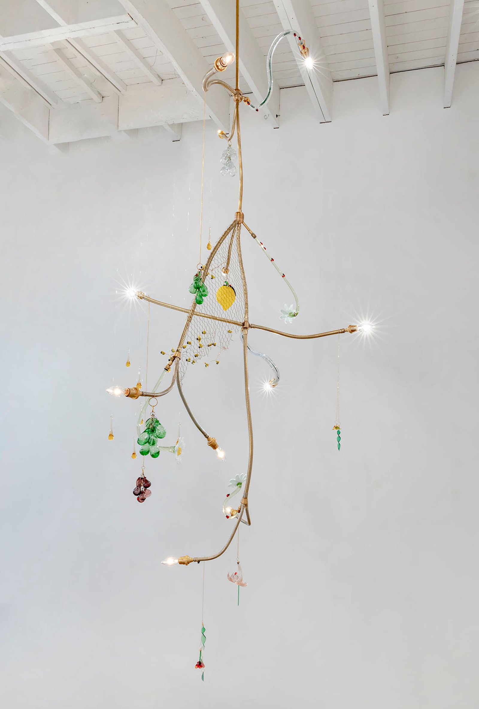 Citrus Constellation